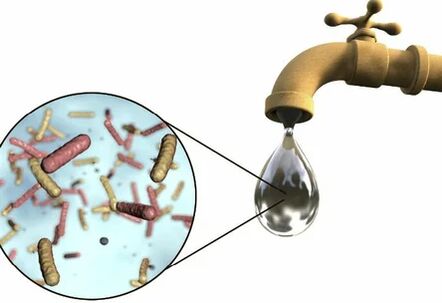 Parasites dans une goutte d'eau de grue