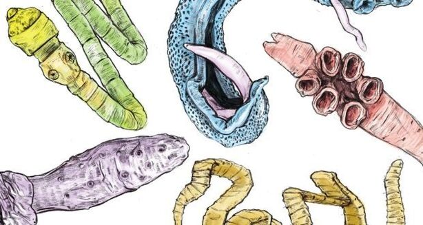 Parasites dans le corps humain